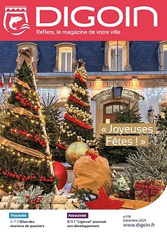 Capture d'écran 2025-12-22 161257.png