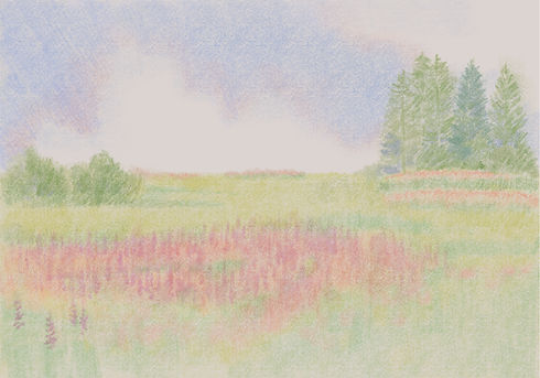 colored3 _edited.jpg