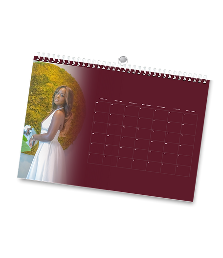 ApptPage