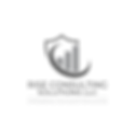 Rise Transparent Logo (1).png