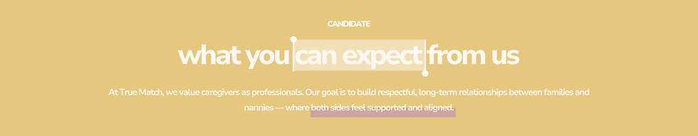 CandidatePage (4).png