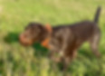 IMG_5583.jpeg