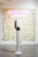 Smile and Snap Photo Booths SF Bay Area.jpeg