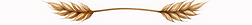 ChatGPT Image Jun 6, 2025, 12_27_06 PM.png