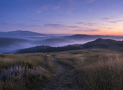 The same misty hillside path at dawn in cooler blue and lavender light, with rolling hills, tall grasses, and wildflowers fading into the distance.