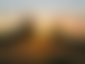 10- intolerância ao álcool.