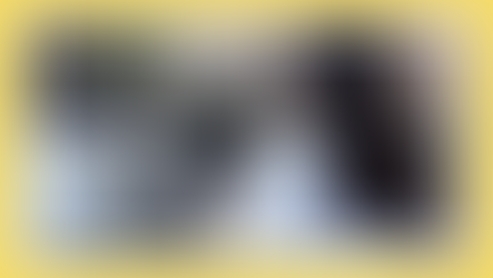 Desafios e potenciais da educação online na educação ambiental