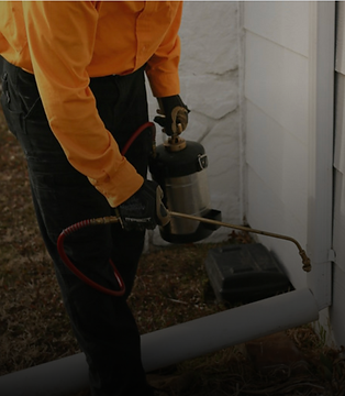 Bug Shockers technician in Wichita, Kansas