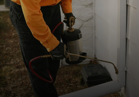 Spider treatment in Wichita and Overland Park