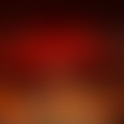 Bourbon, Bluegrass, and a Bit of Serendipity