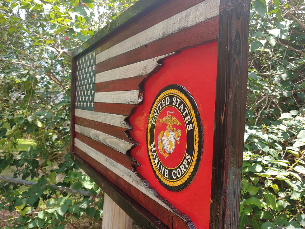 Thumbnail: USA/USMC Tattered