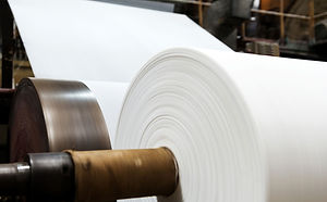Pulp & Paper