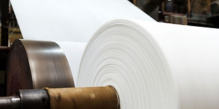 Papel e Celulose