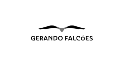 Gerando falcoes.webp