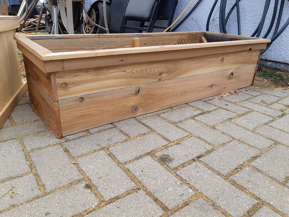 Thumbnail: Garden Boxes
