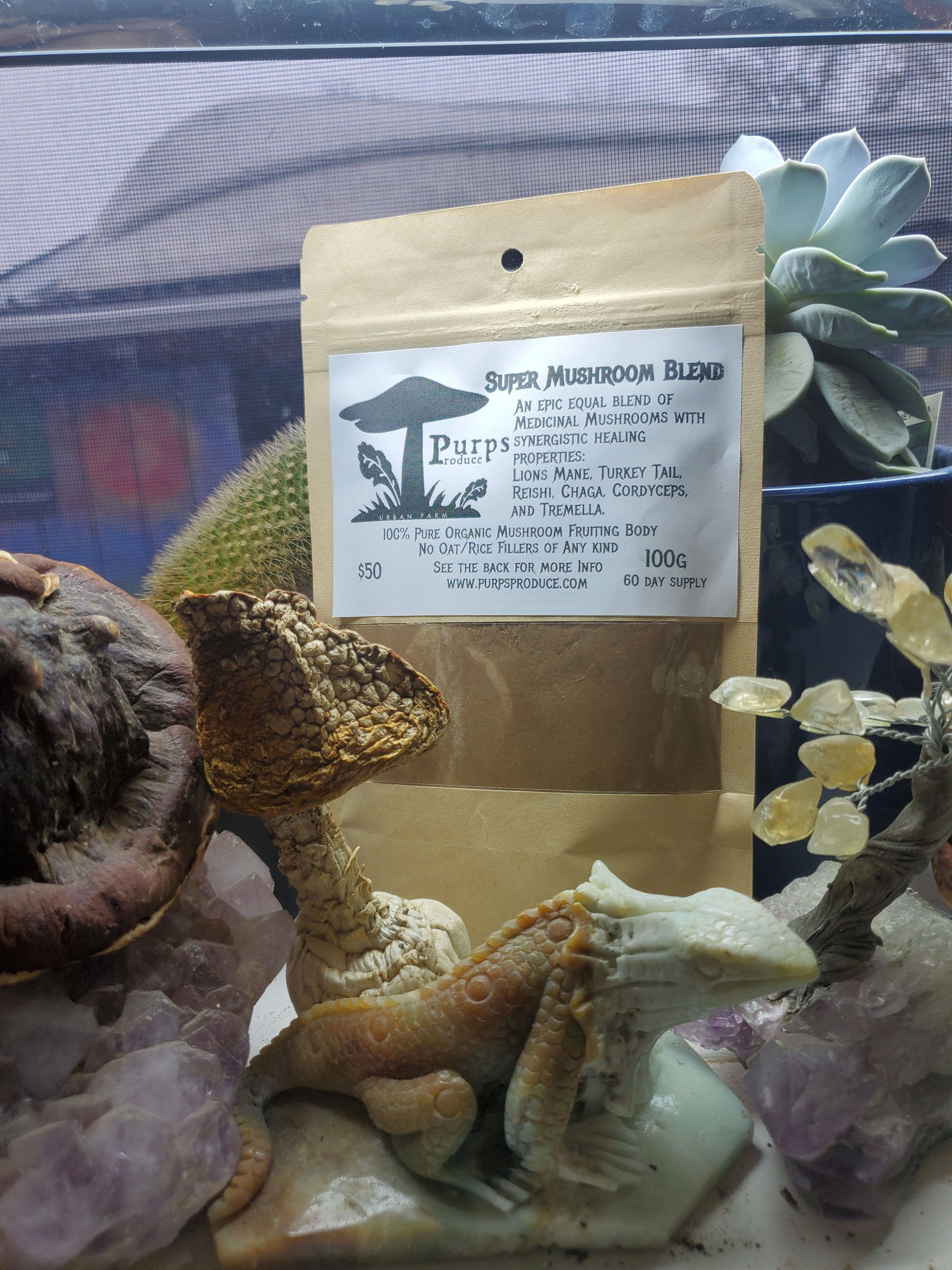 The Super Mushroom Blend