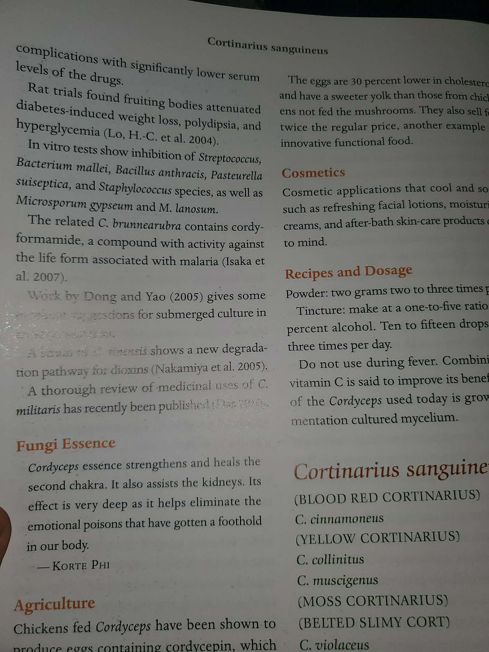 Thumbnail: Cordyceps - Stamina/ Lung Support (Powder)