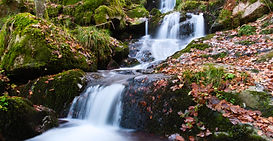 20181118_La Serva_DSC_1158.jpg