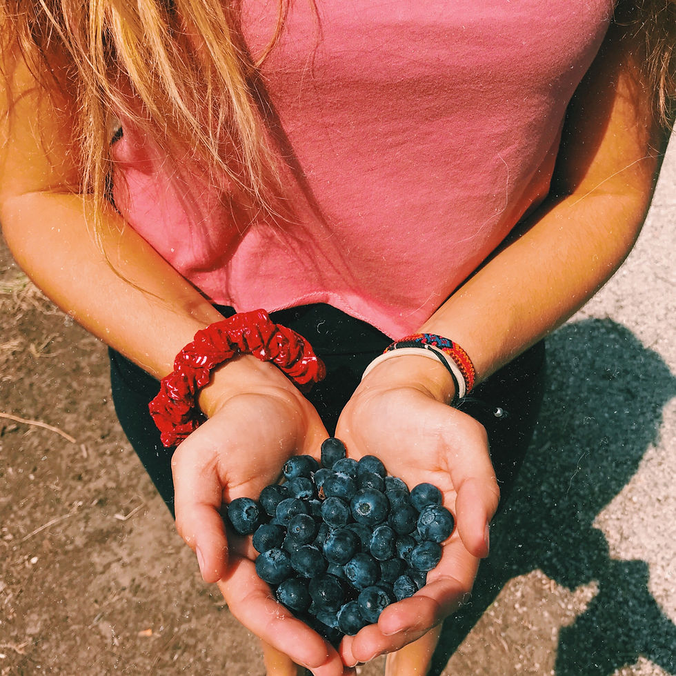 Arándanos orgánicos