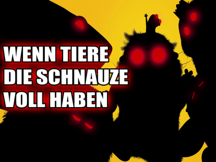 Ein (Horror-)Film für die ganze Familie