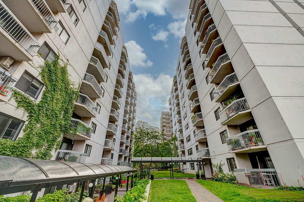 1449 St-Alexandre-22.jpg