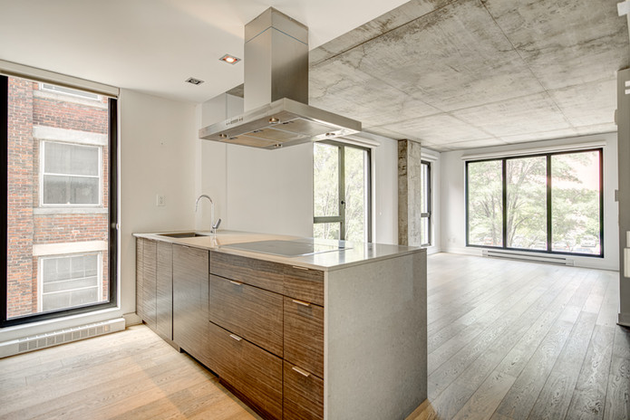 738 Rue Saint-Paul O, Montr‚al - App 309 (6).jpg