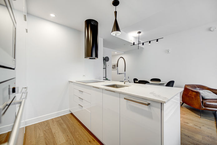 1 Boul. de Maisonneuve Ouest, Montréal - App 1006 (19).jpg