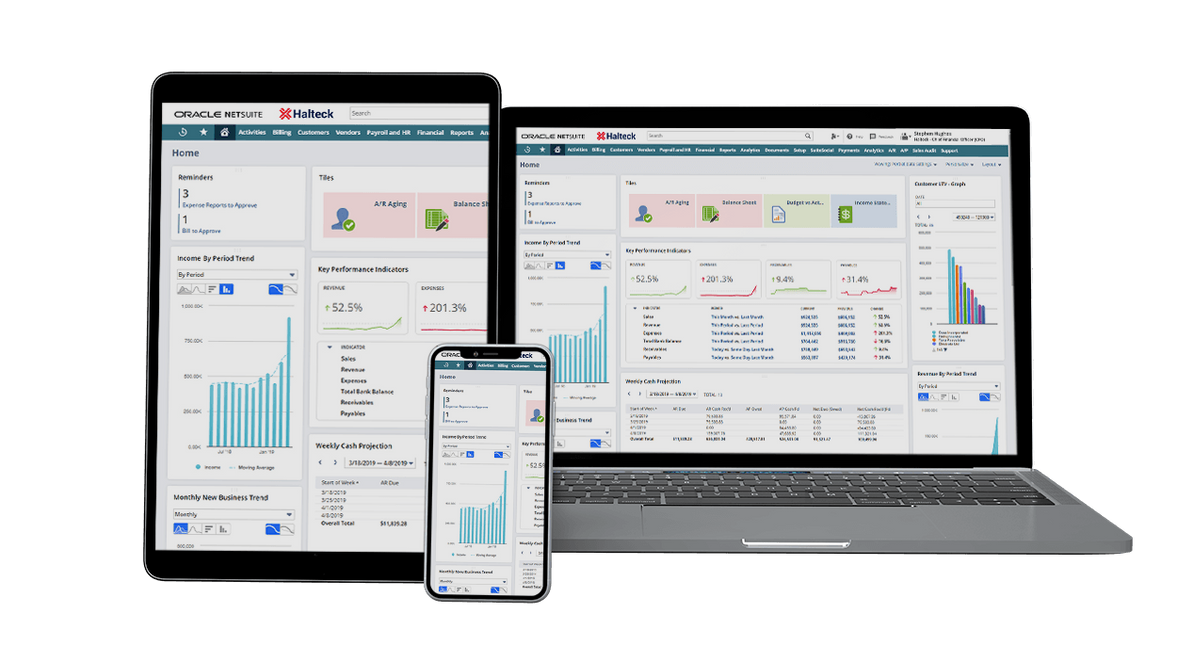 halteck-implementacion-netsuite-erp-crm-
