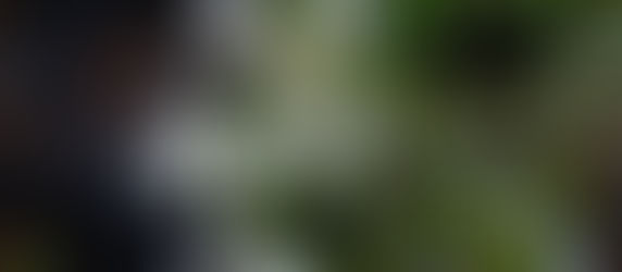 Delight yourself in the Lord