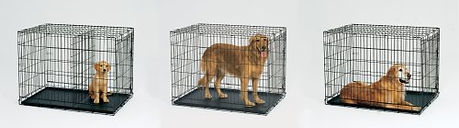 crate training