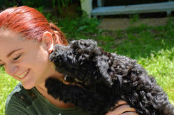 Puppy Kisses