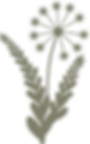 Barley.png