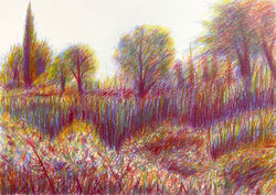 陳藝貞-時光 2024