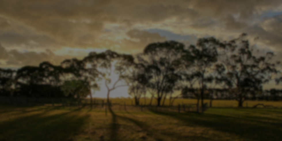 Home Page - Background Image - Georgie Foster