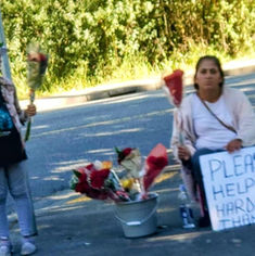 street scammer flower selling.jpeg