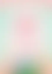 P&C Update - 20th March 2026