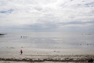 Paysages 16