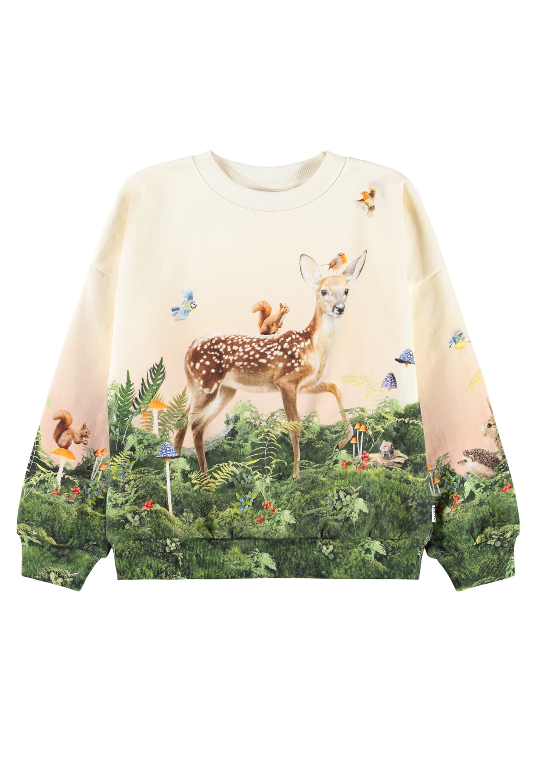 Molo Sweatshirt