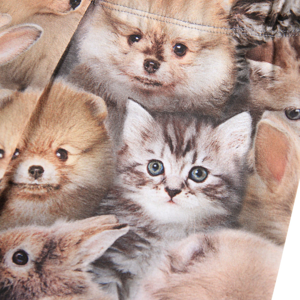 Miniaturbild: Molo Legging