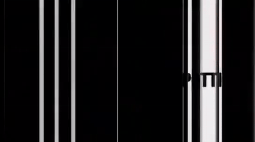 BarrenBlackandwhiteFlea-small.gif