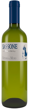 sassone%20pic_edited.png