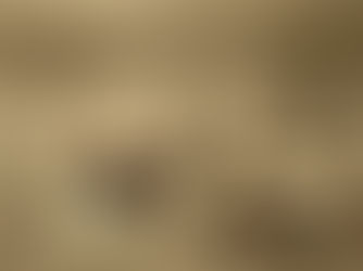 Aquela Cia. estreia "Chega de Saudade!" online