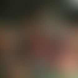 Cia. Elevador de Teatro Panorâmico faz nova temporada de "Caro Kafka" no Teatro Cacilda Becker