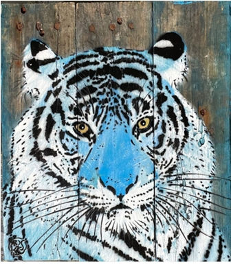 Mosko - Tigre bleu