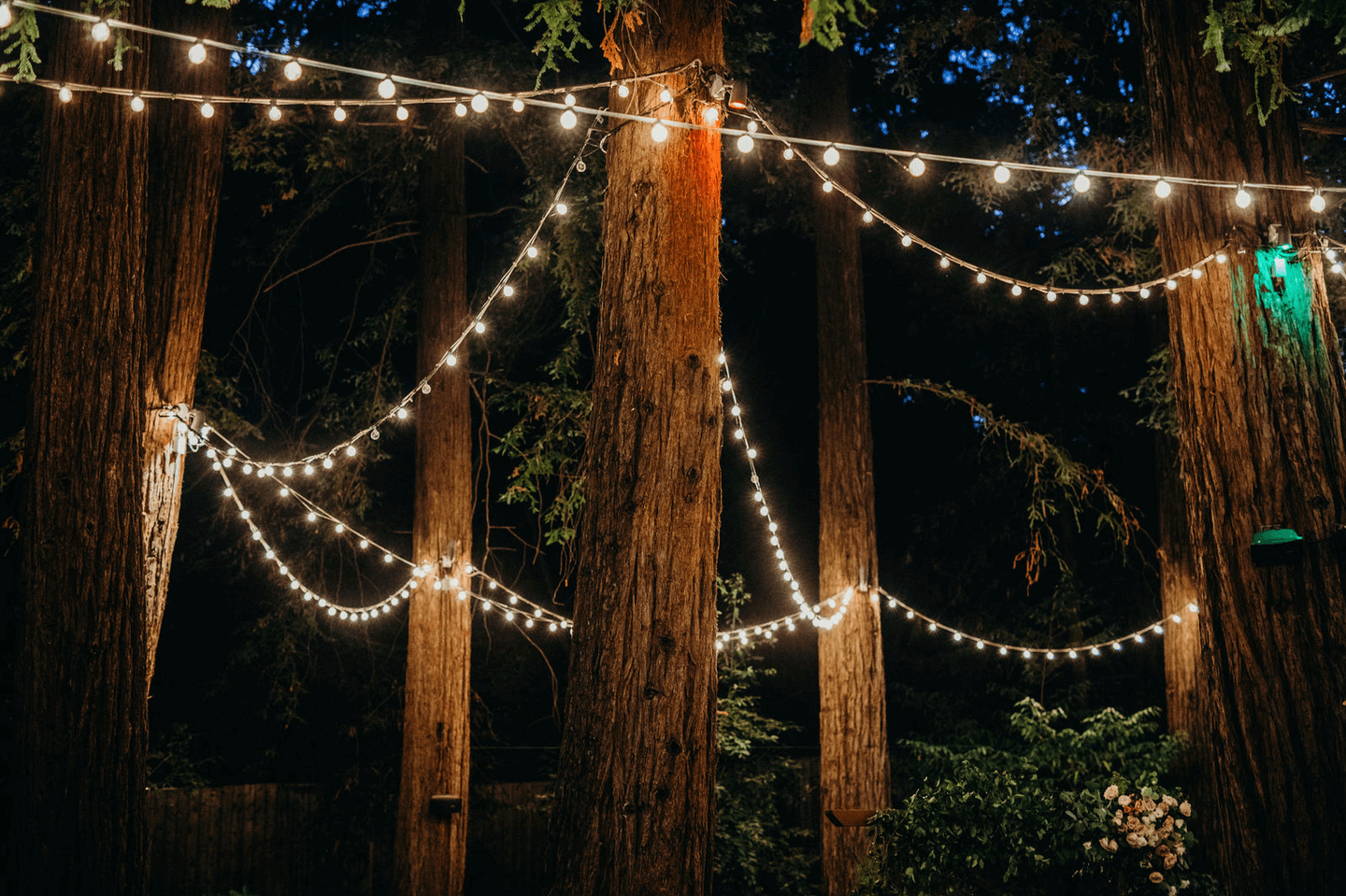 Ashley+Ryne__kindredweddings_02.png