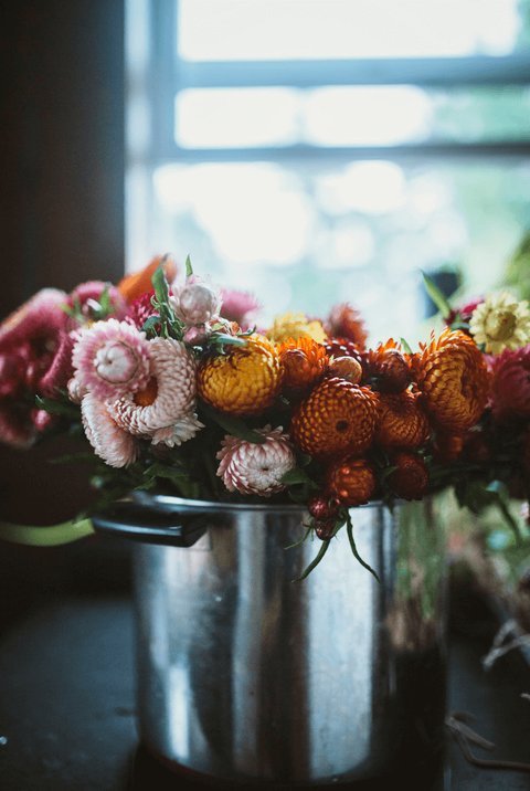 Joyce+David__beccahenryphotography_2.png