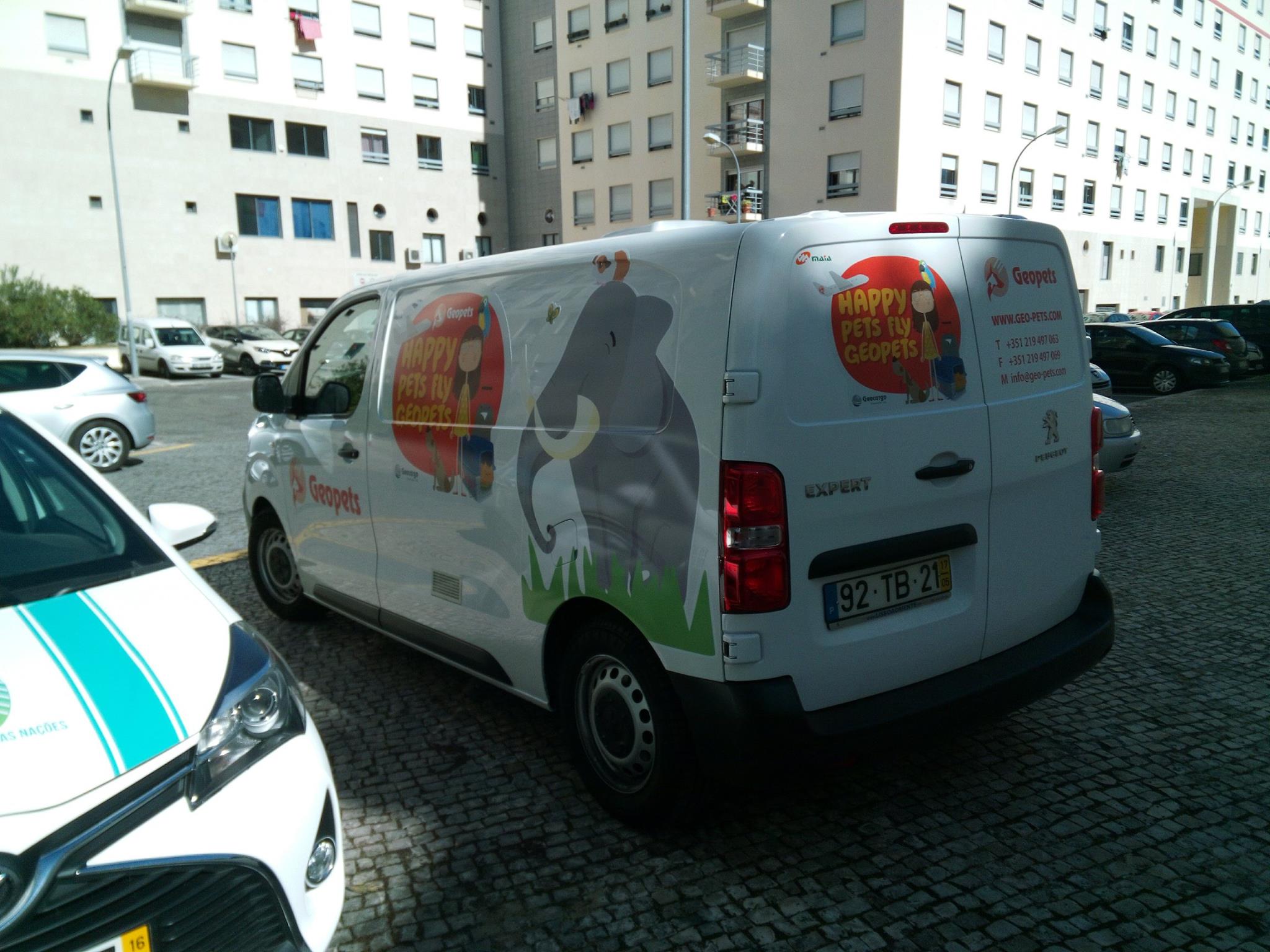 Decoração de Viatura