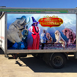 Decoração Viaturas