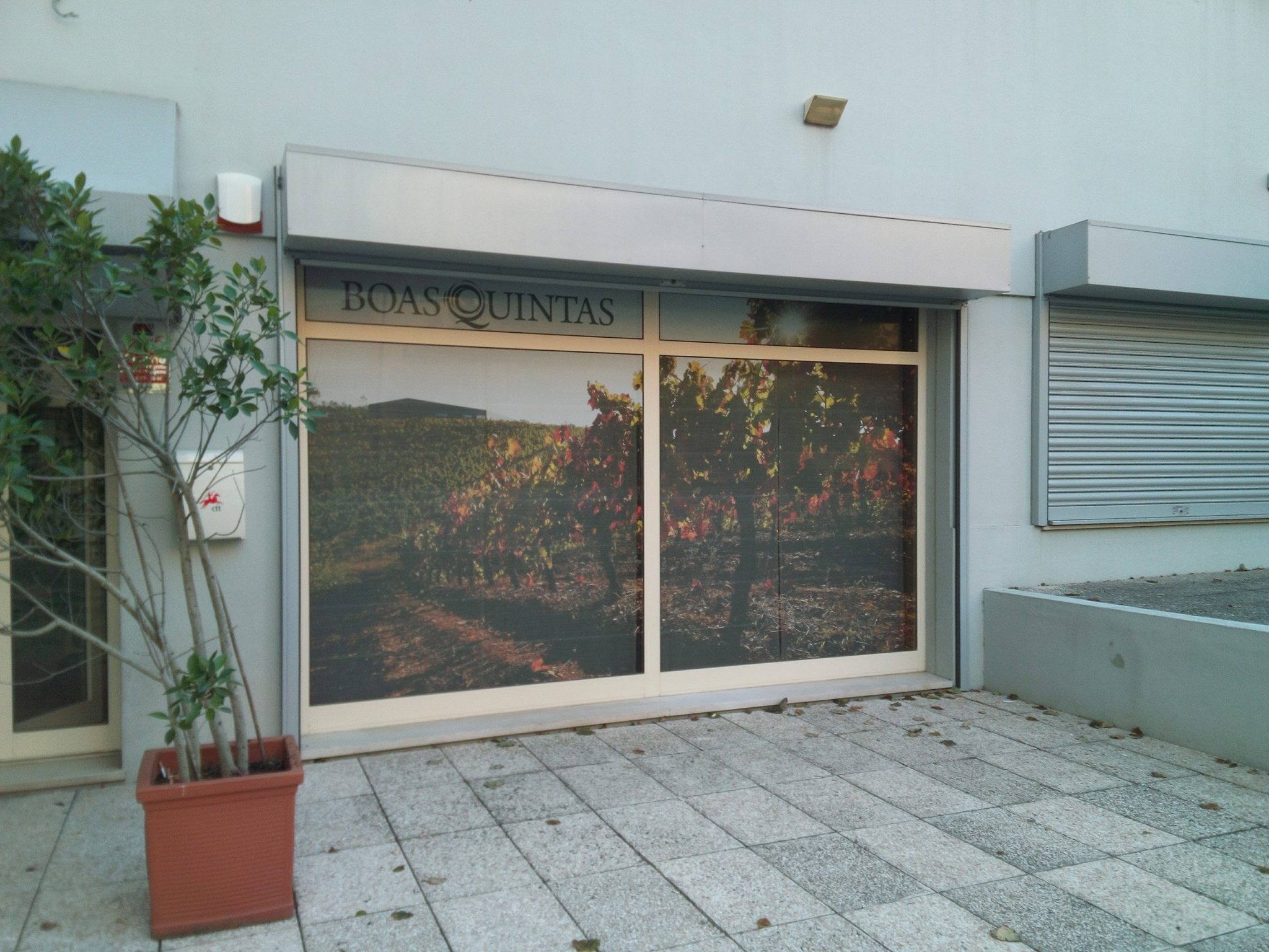 Vinil Microprefurado