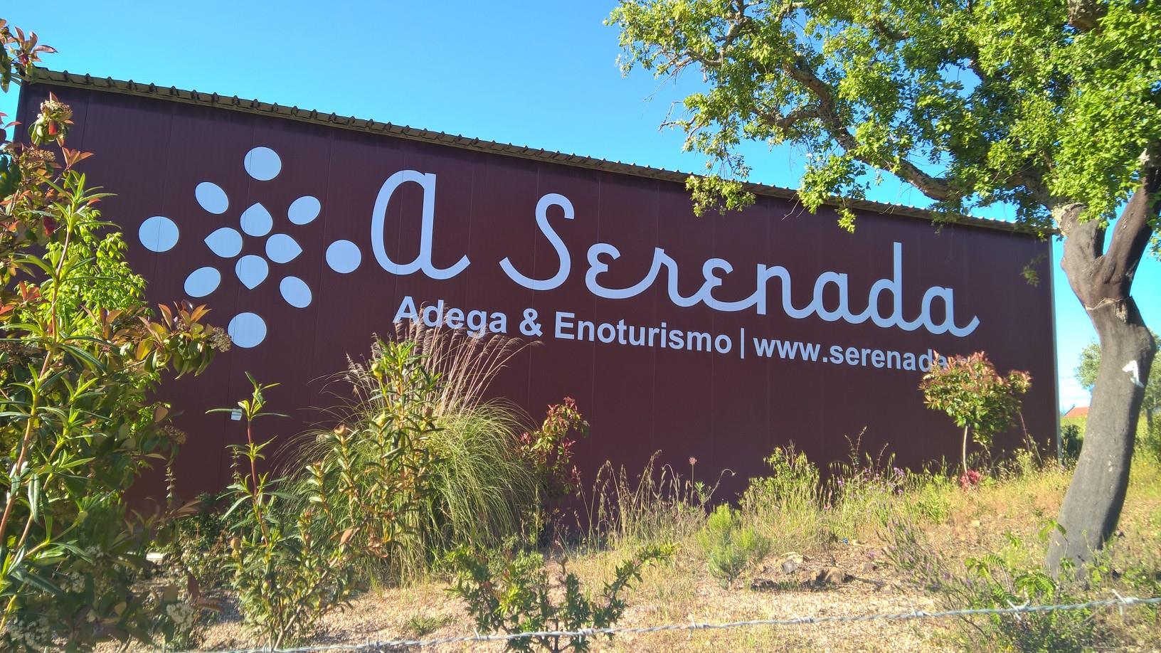 Recorte de Vinil e montagem